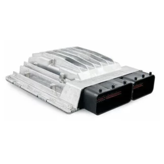 msd81 ecu